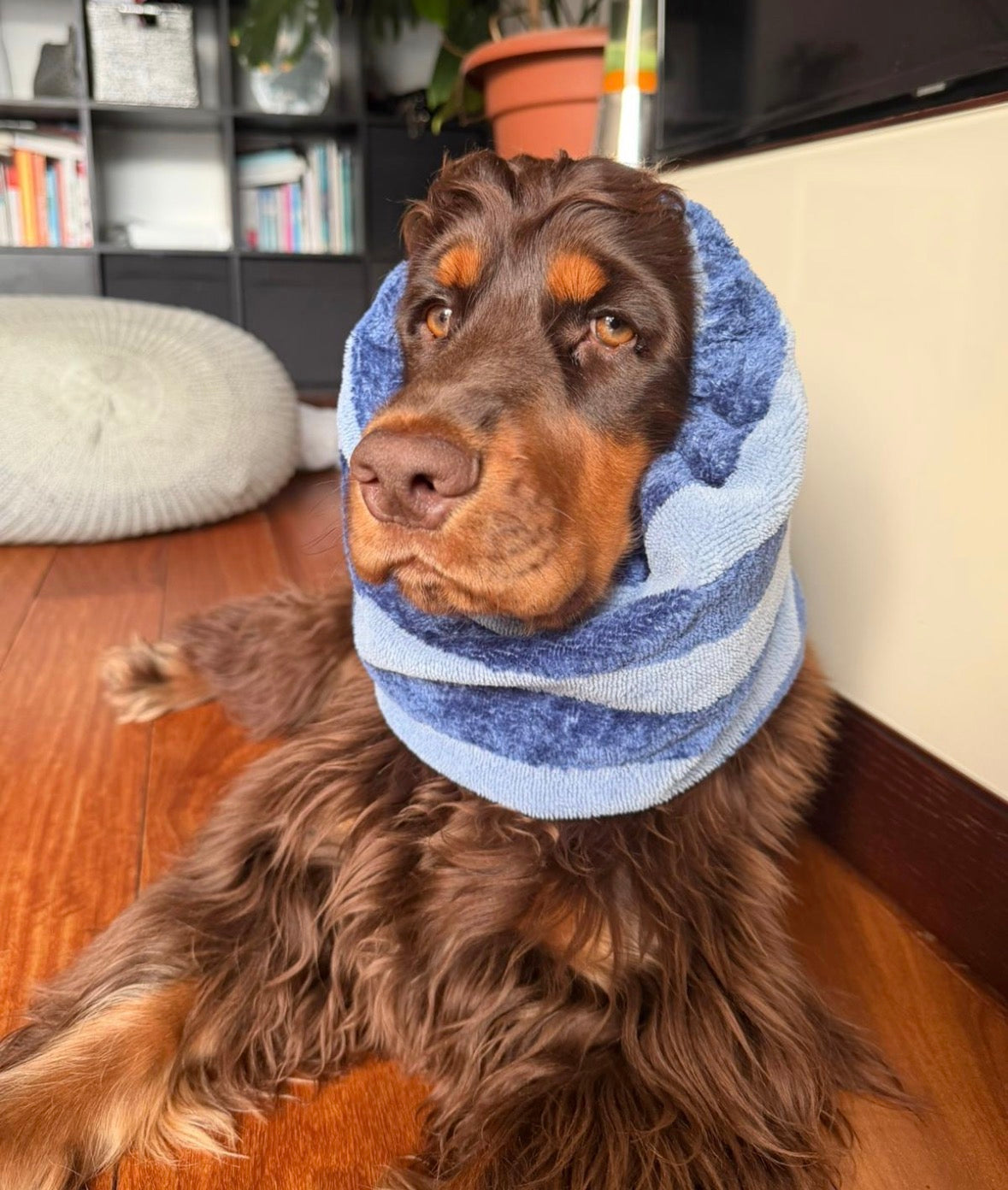 Snood en éponge bambou