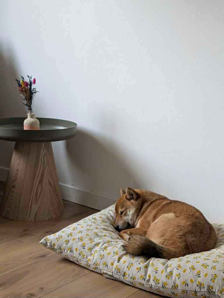 Housse de coussin personnalisable