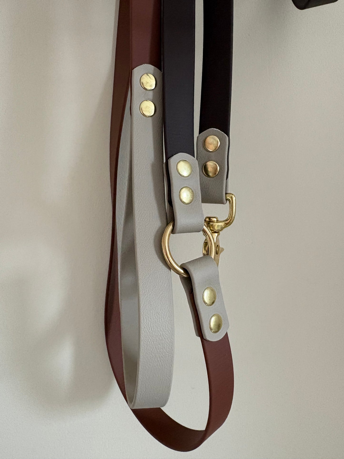 Laisse en biothane Stitch - Automne