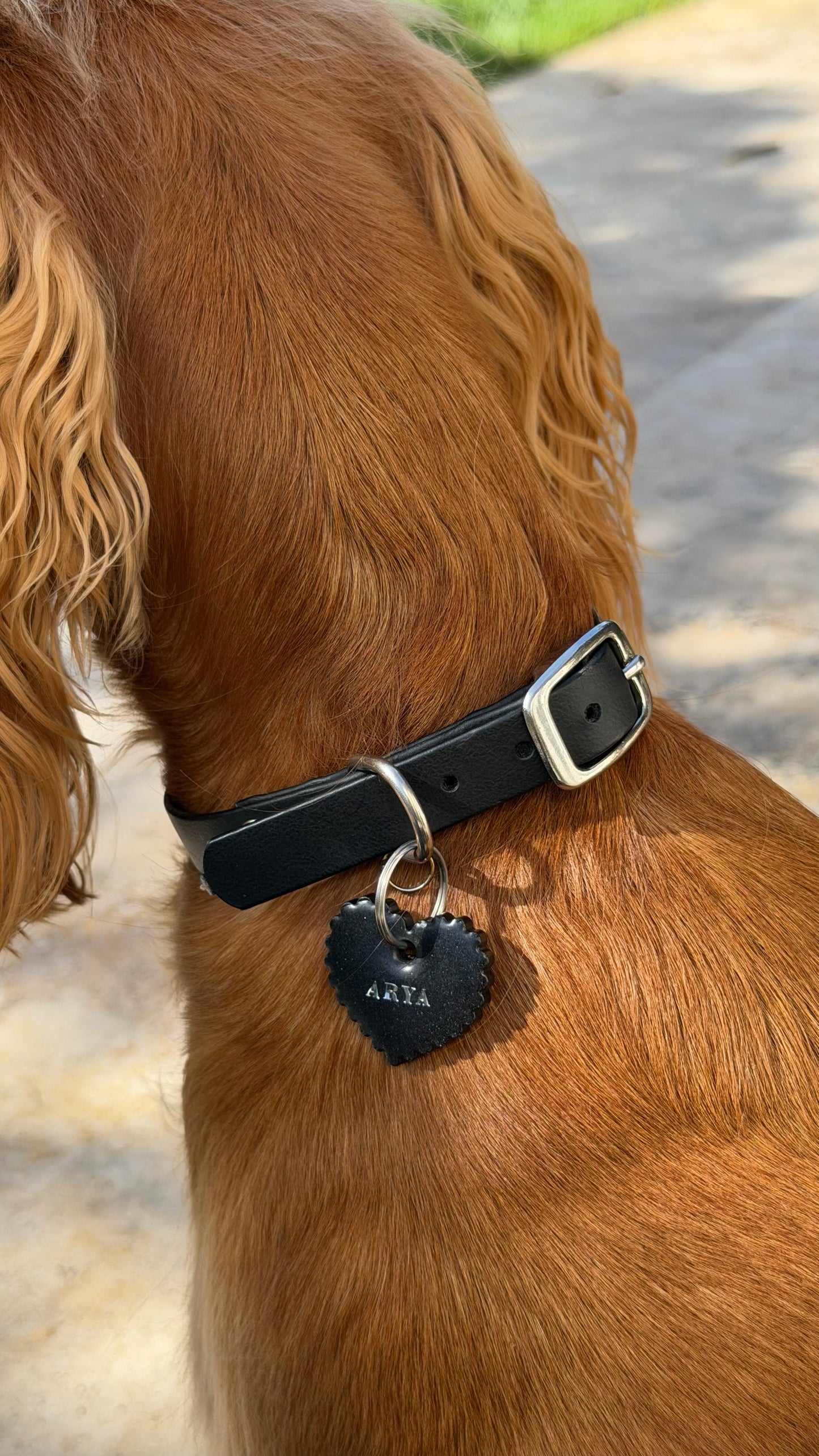 Collier en biothane