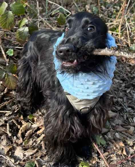 Snood polaire