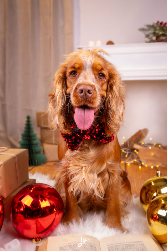 Noeud papillon - Noël