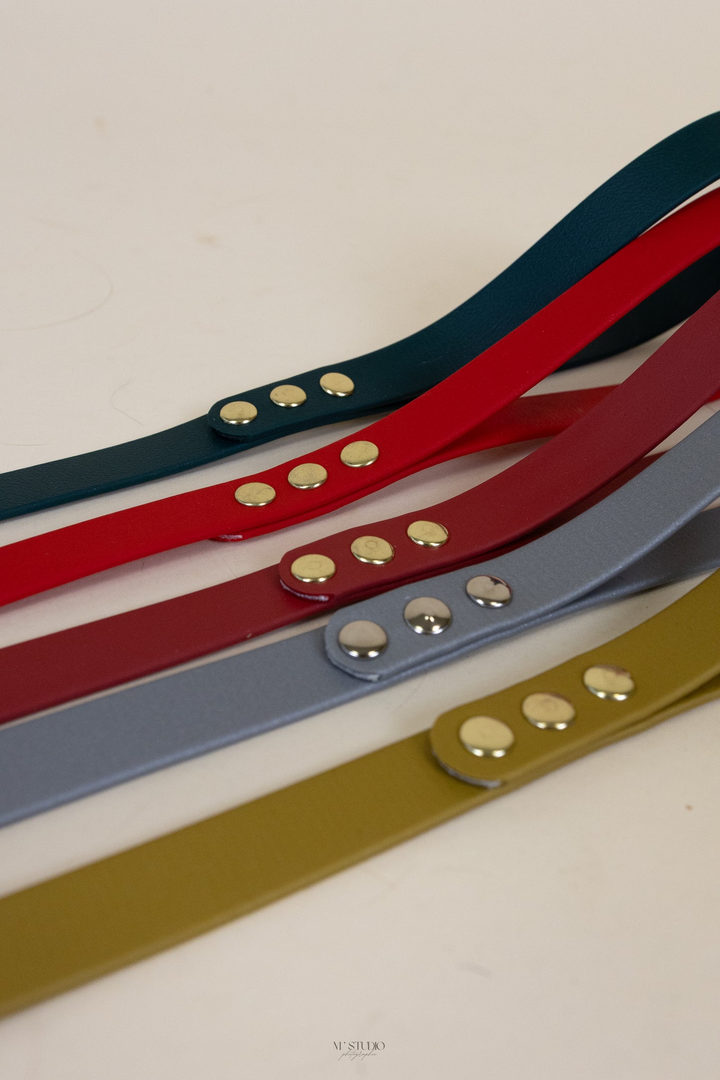 Laisse en biothane - Noël