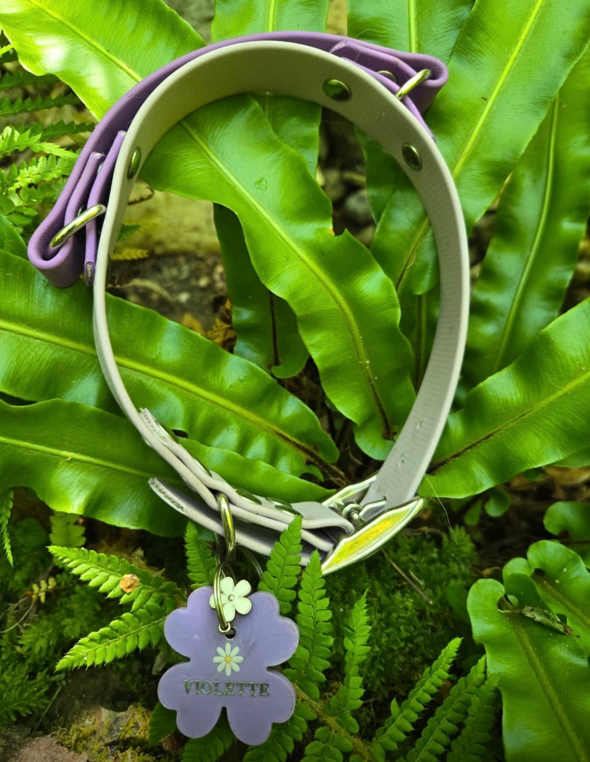 Collier Violette - Biothane & Poignée