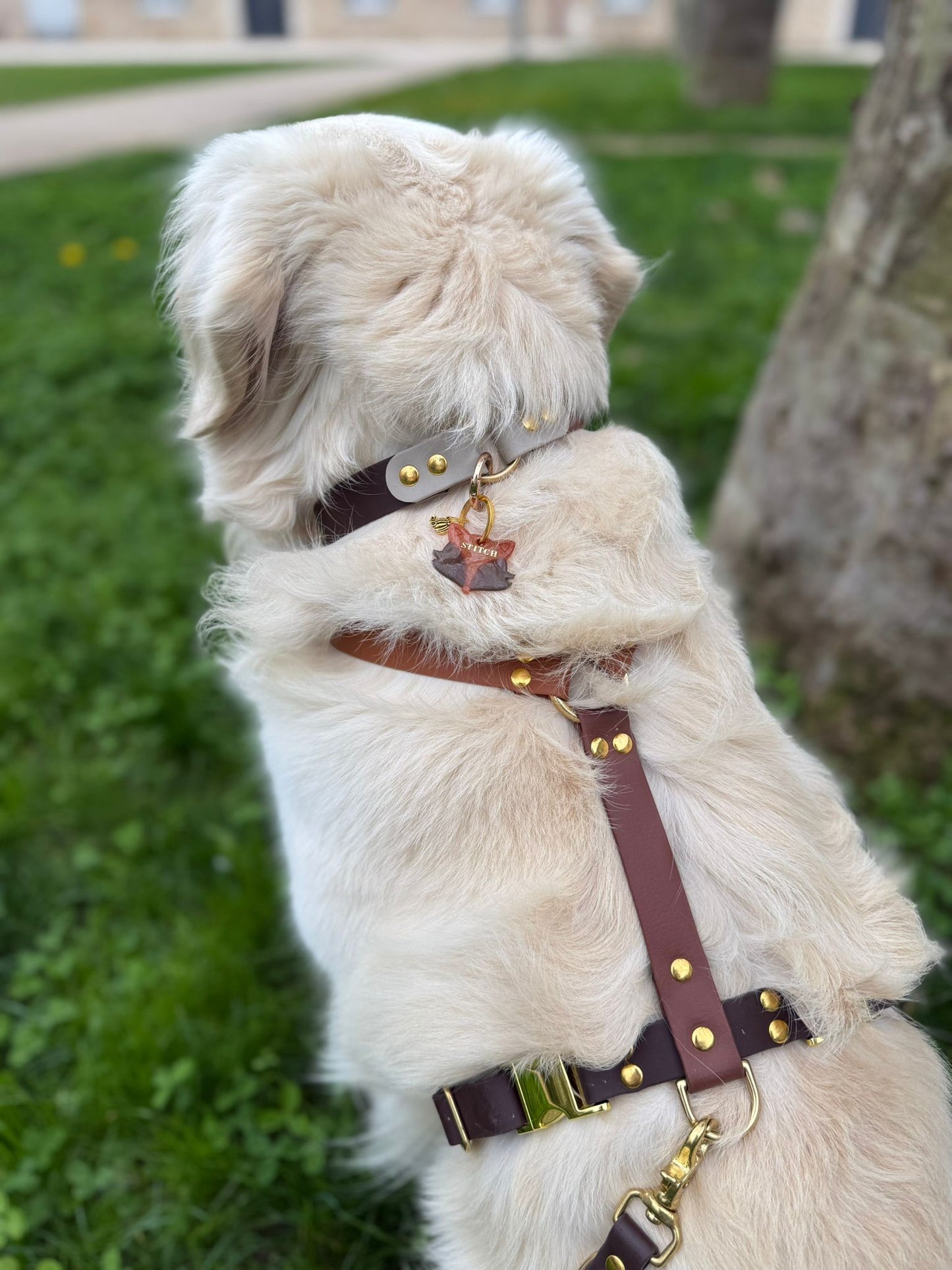 Collier Stitch - Automne