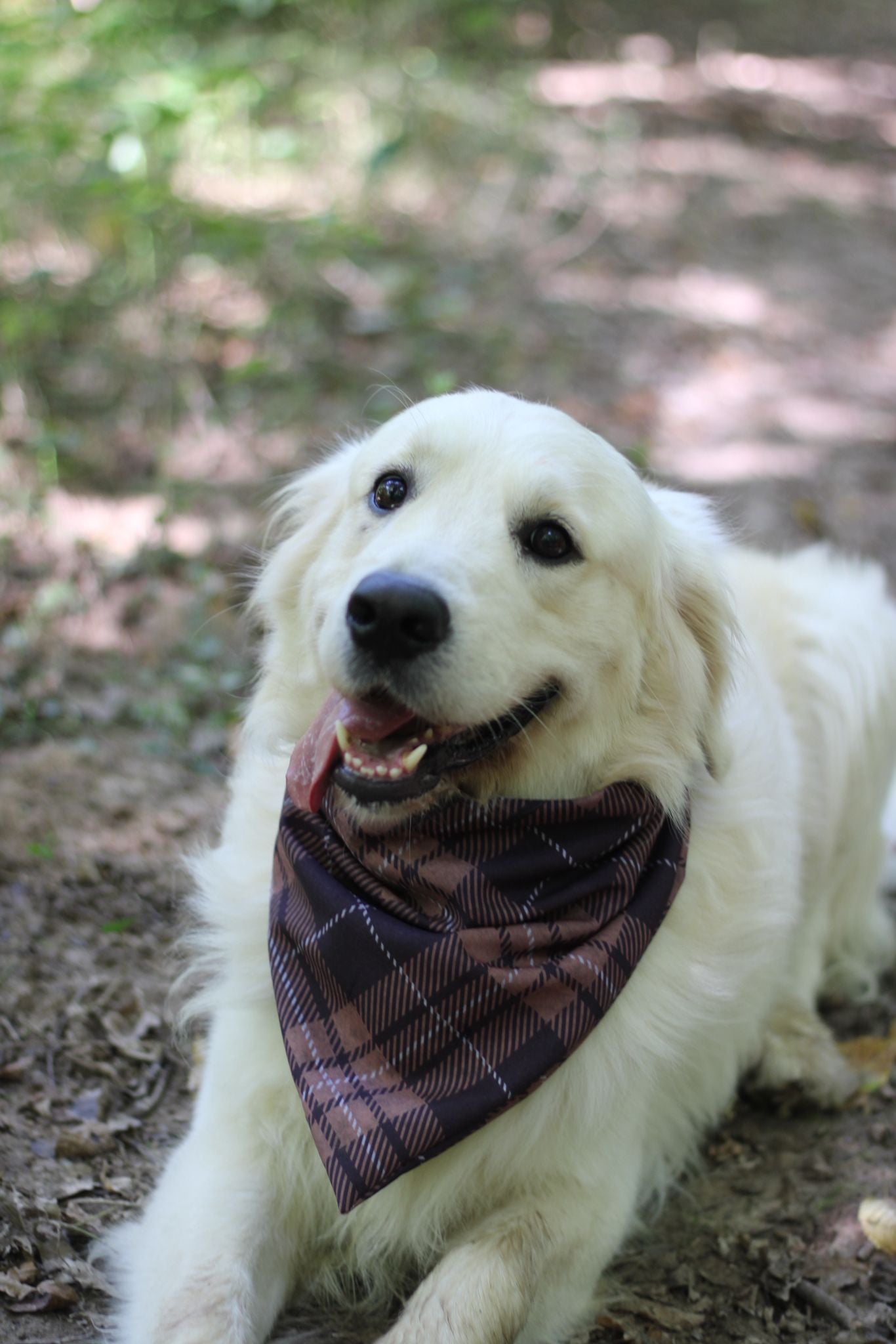 Bandana en coton - vichy