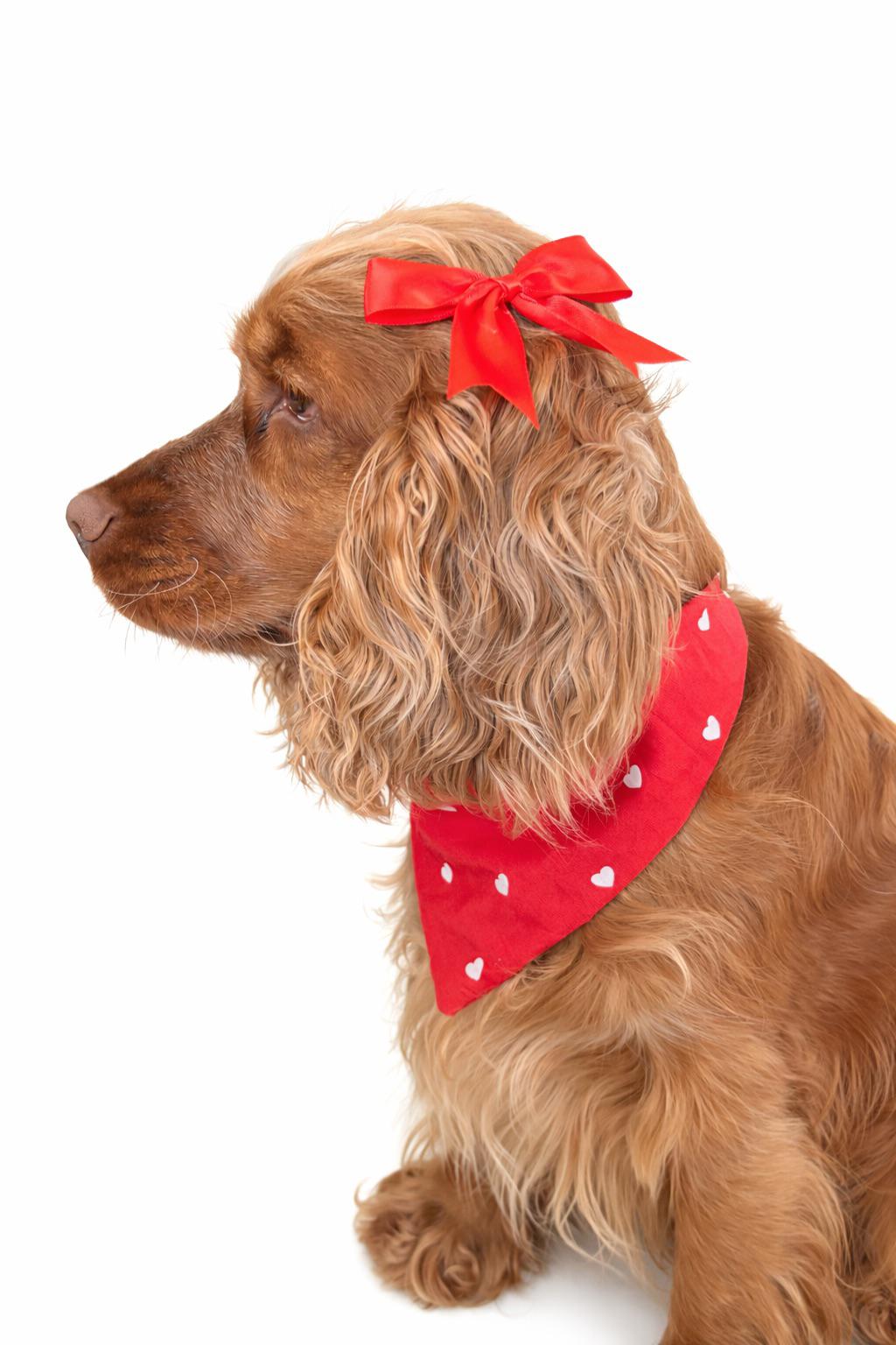 Bandana St Valentin