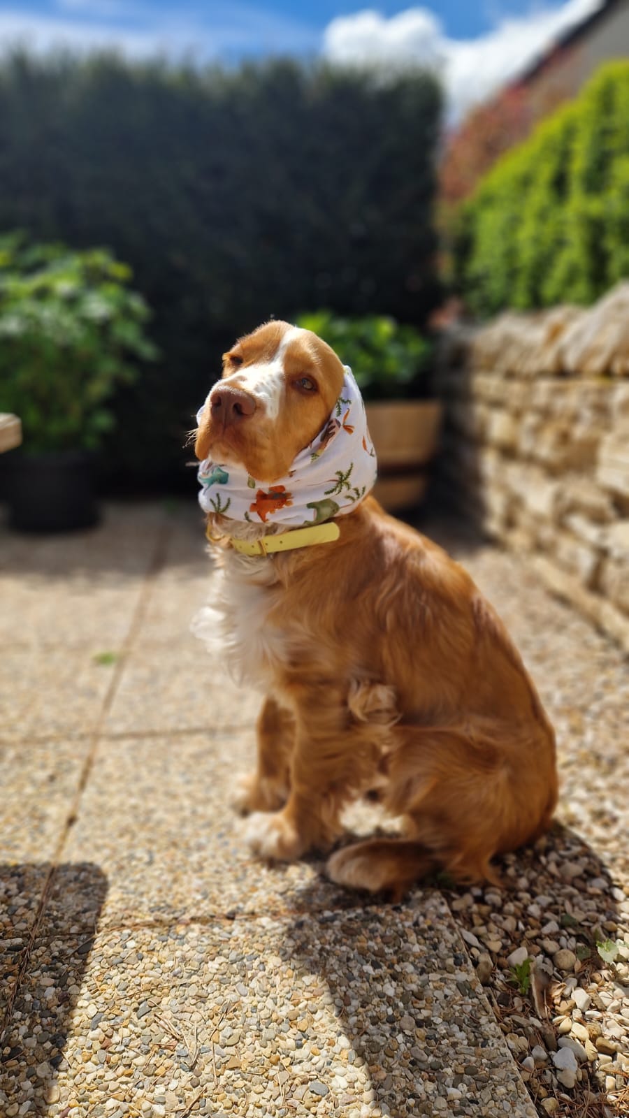 Snood en double gaze de coton