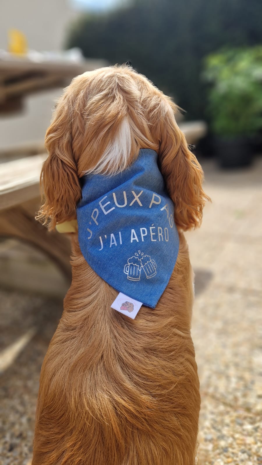 Bandana J'Peux pas J'ai...