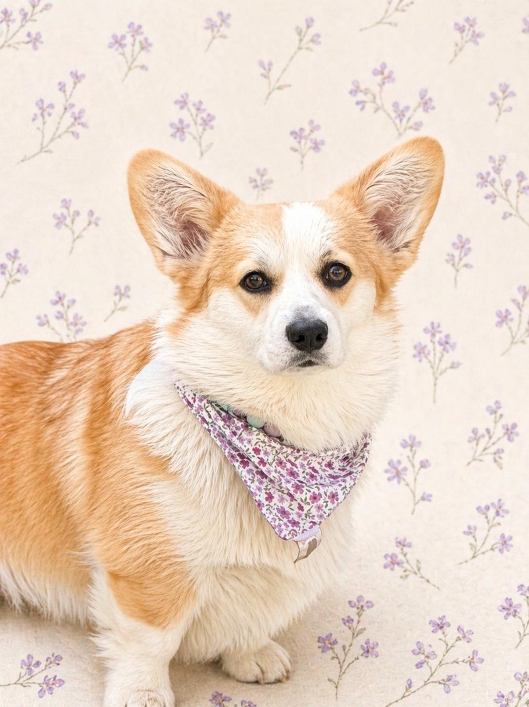Bandana en coton - fleurs