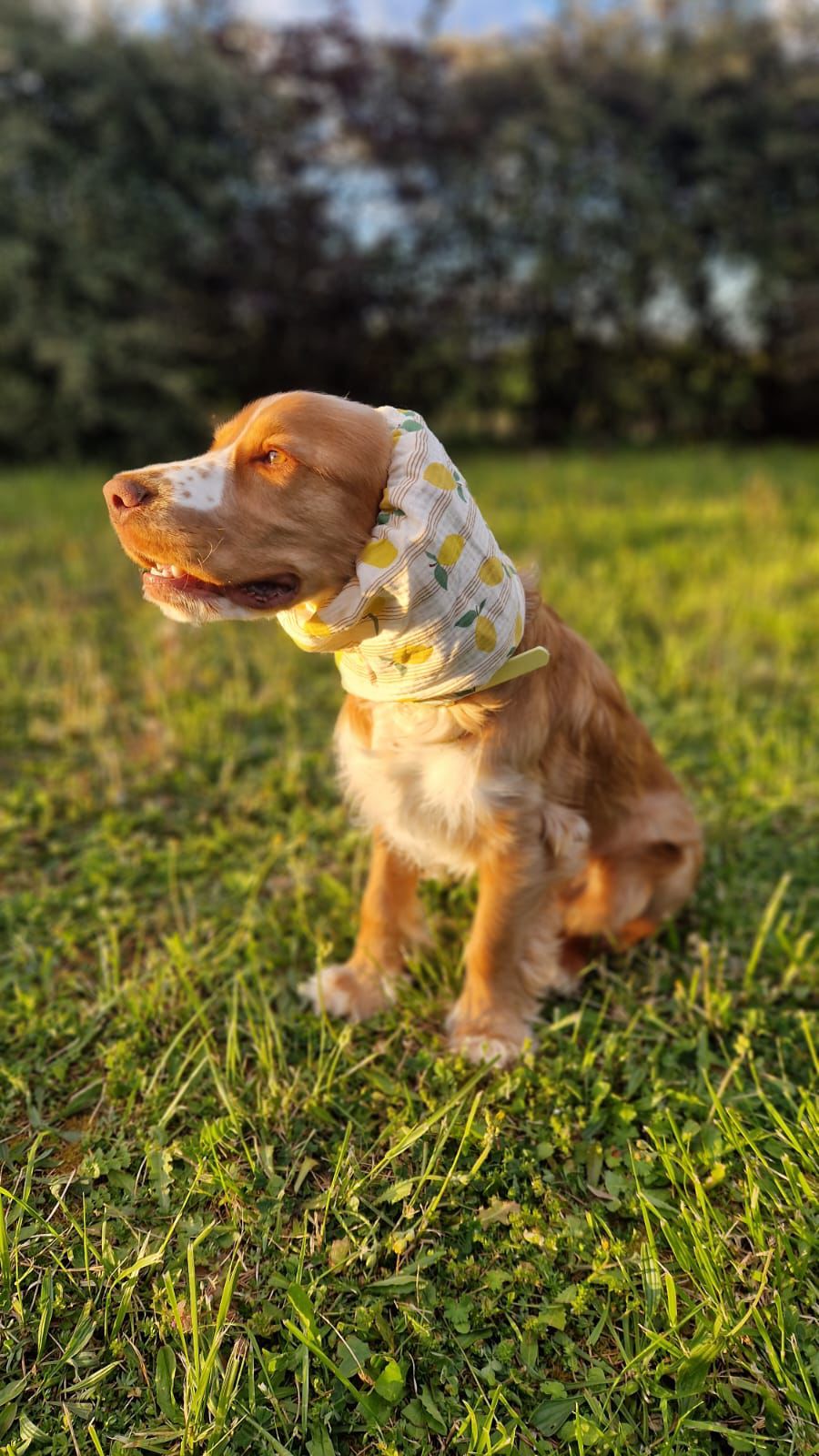 Snood en double gaze de coton