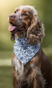 Bandana Pour Chien XL Wild Wild Wouf - Tour De Cou 48-58 Cm, Attache Laisse Intégrée, Nylon Léopard, Facile à Nettoyer - 3