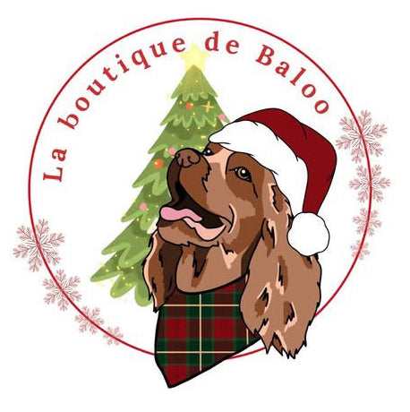 La boutique de Baloo