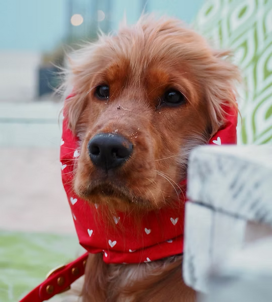 Snood imperméable à motifs