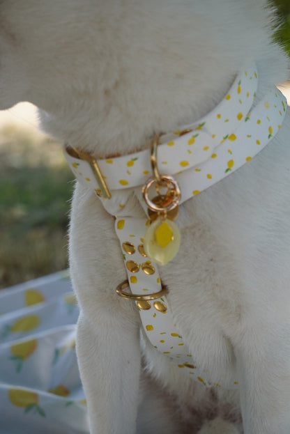 Collier fruité en biothane