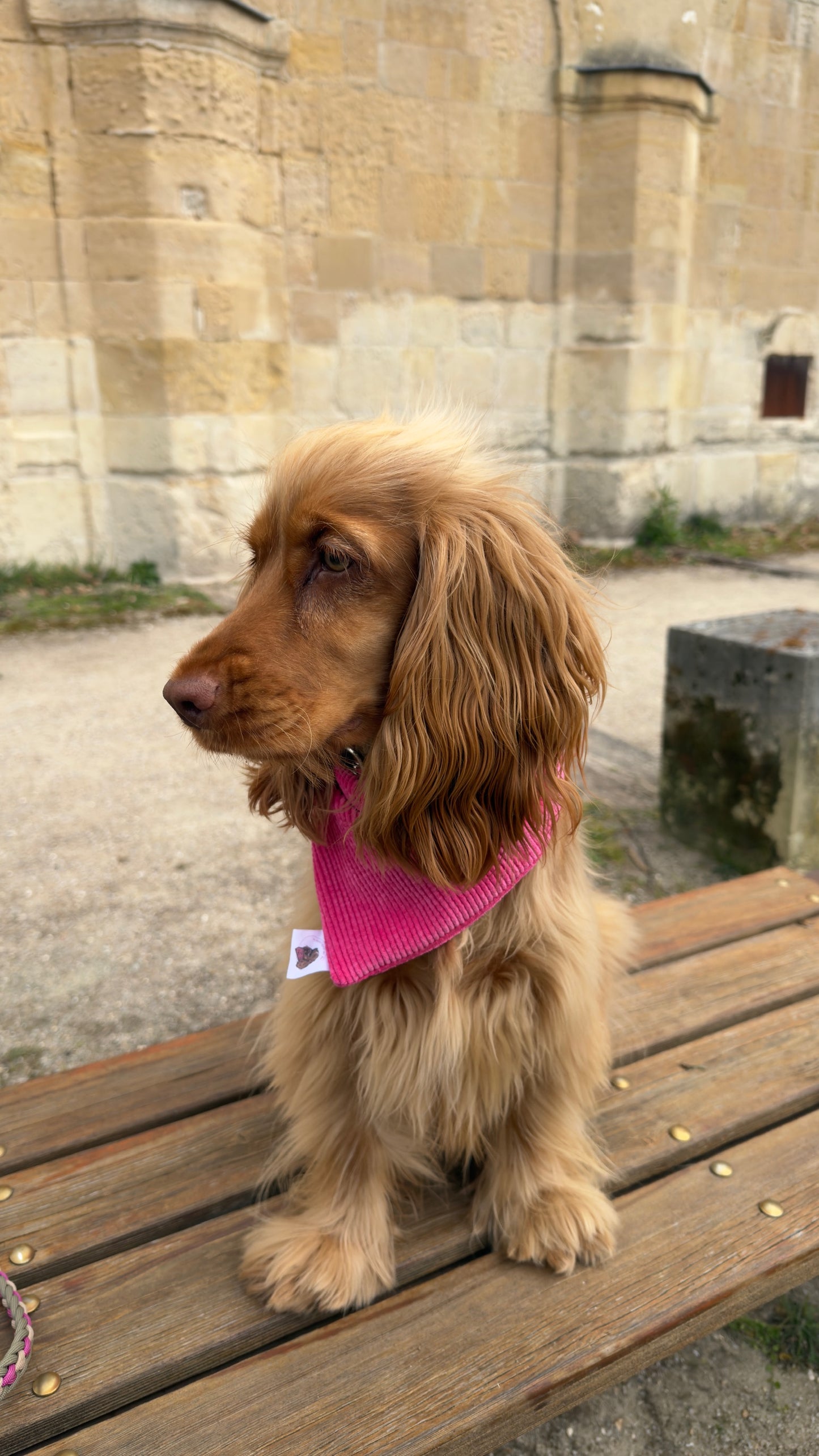Bandana en velours côtelé
