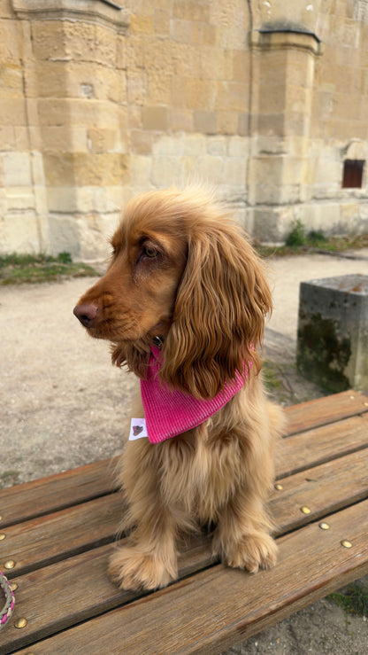 Bandana en velours côtelé