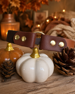 Collier Stitch - Automne