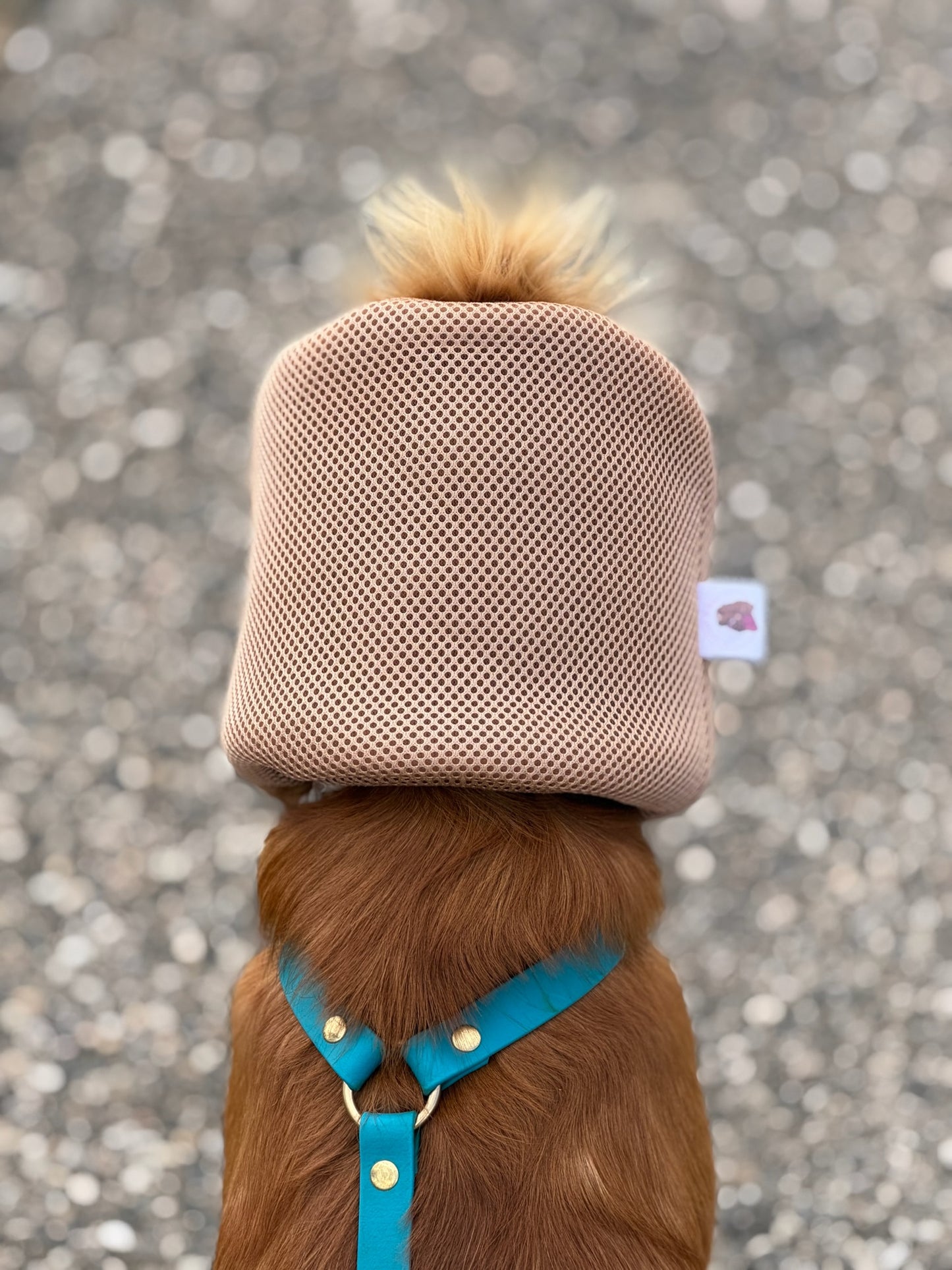 Snood filet