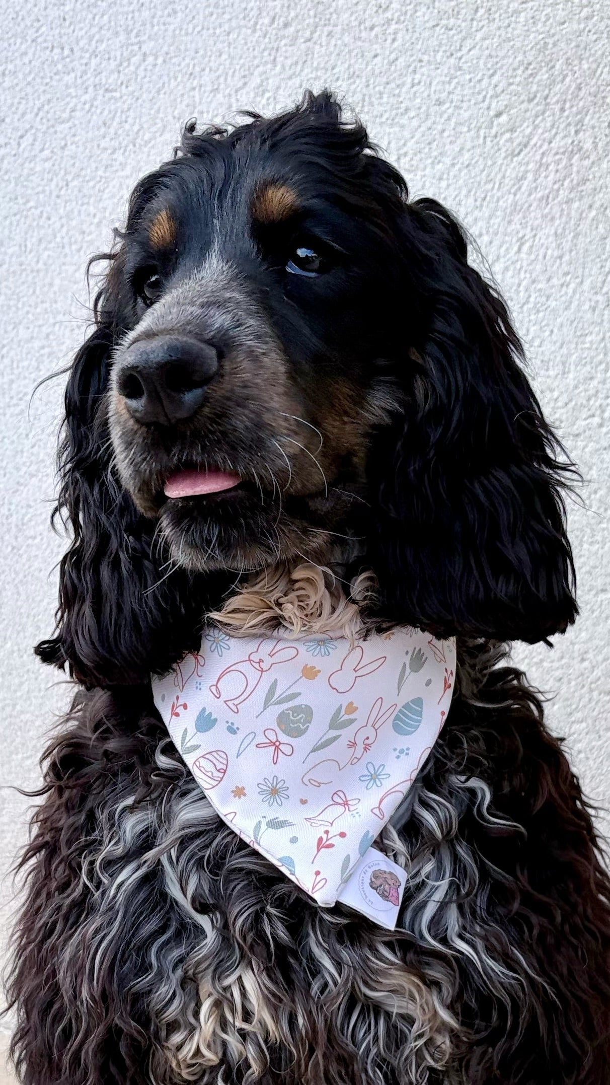 Bandana Pâques 🐰