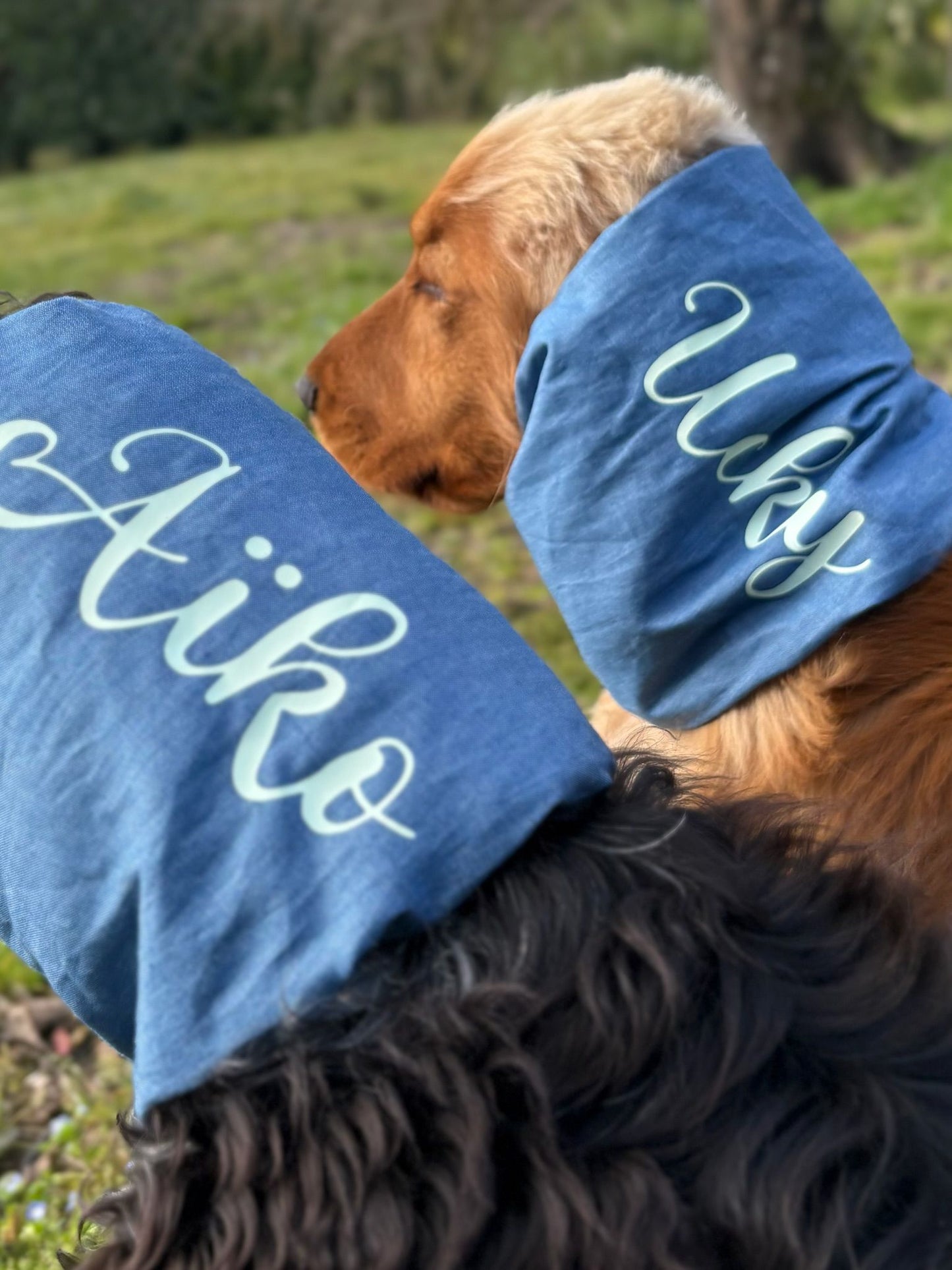 Snood en Jean personnalisable