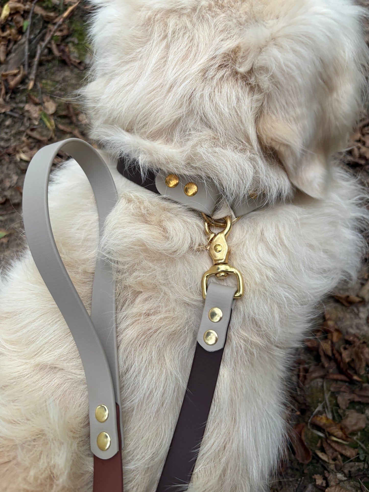 Laisse en biothane Stitch - Automne