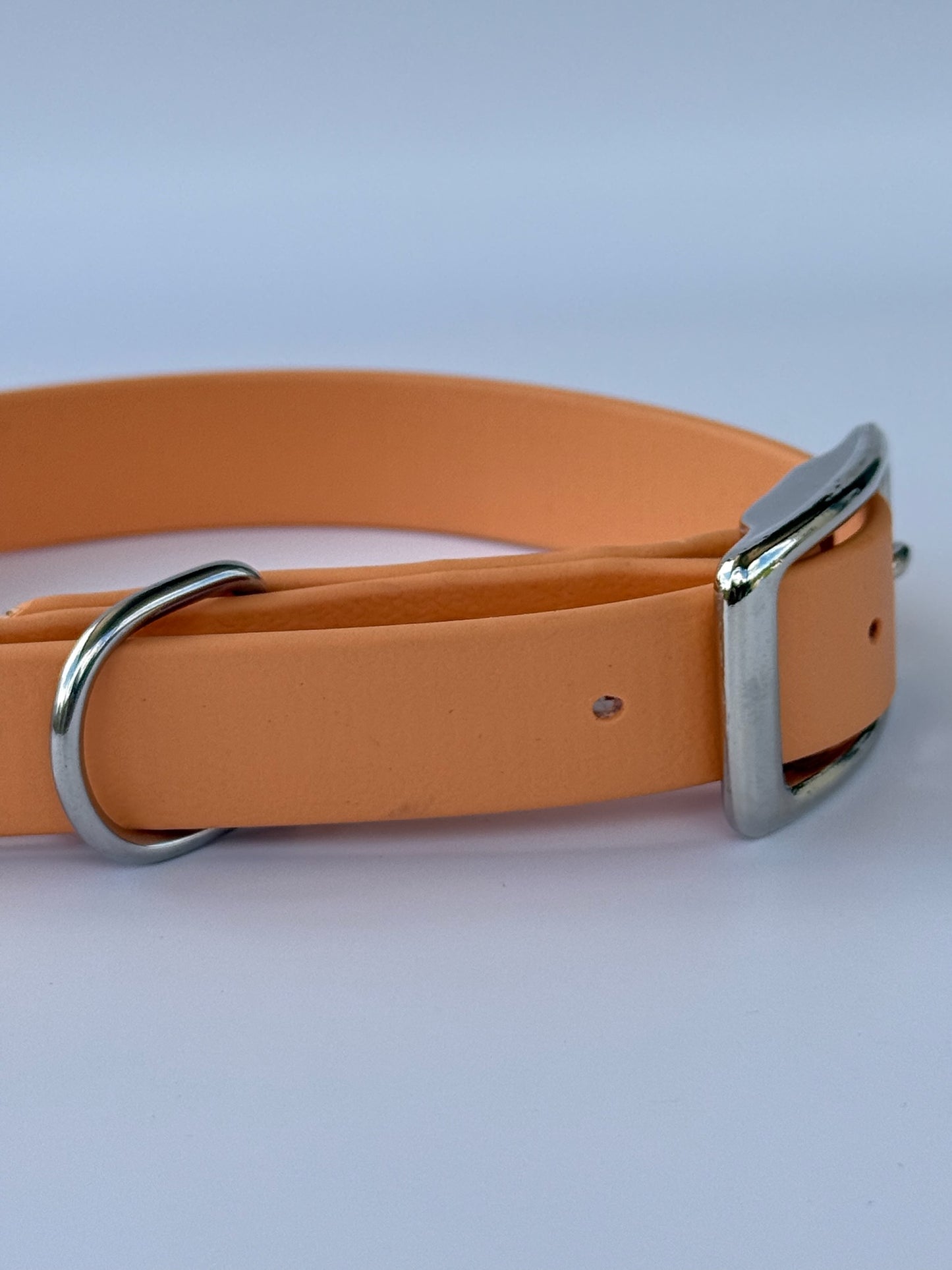 Collier en biothane