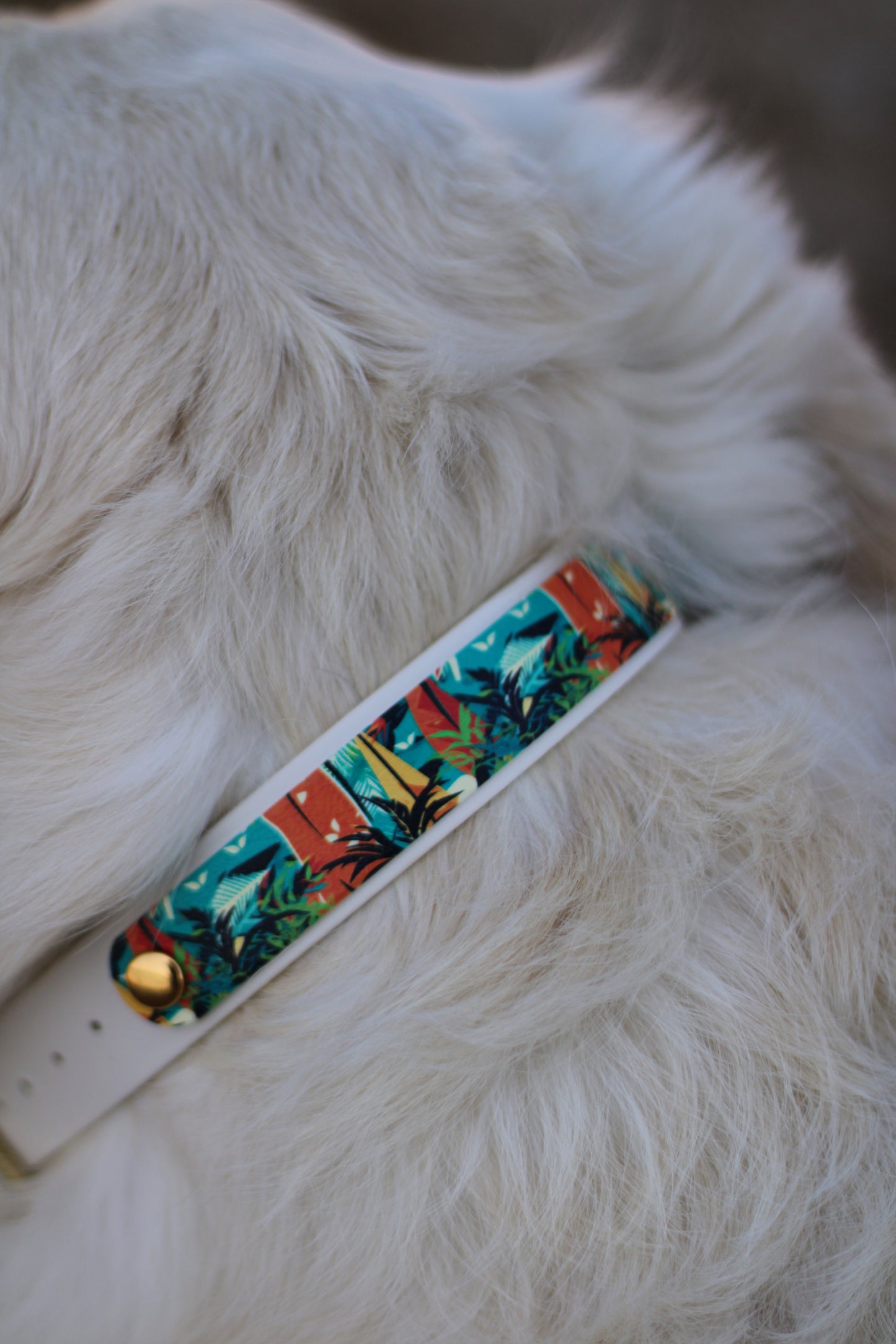 Collier Patchi en biothane - motifs été