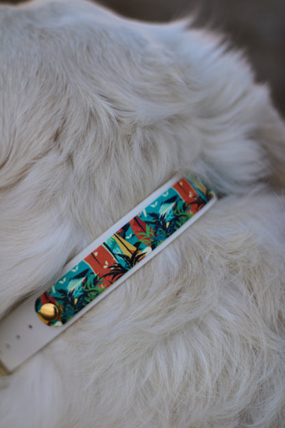 Collier Patchi en biothane - motifs été