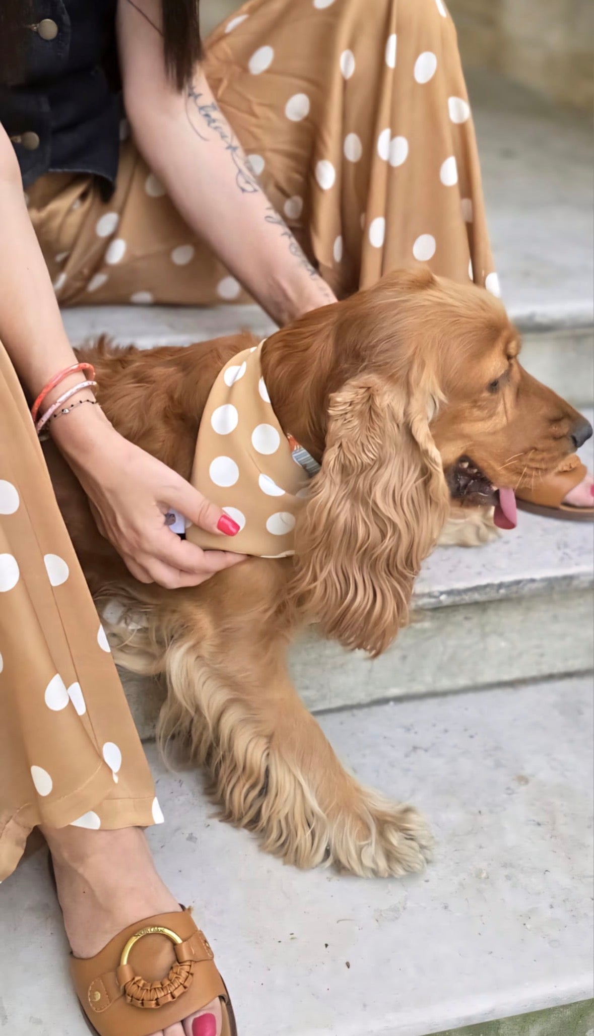 Bandana en coton - pois