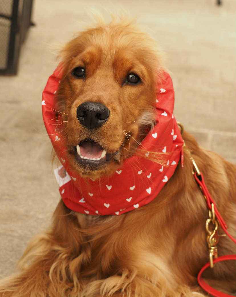 Snood imperméable