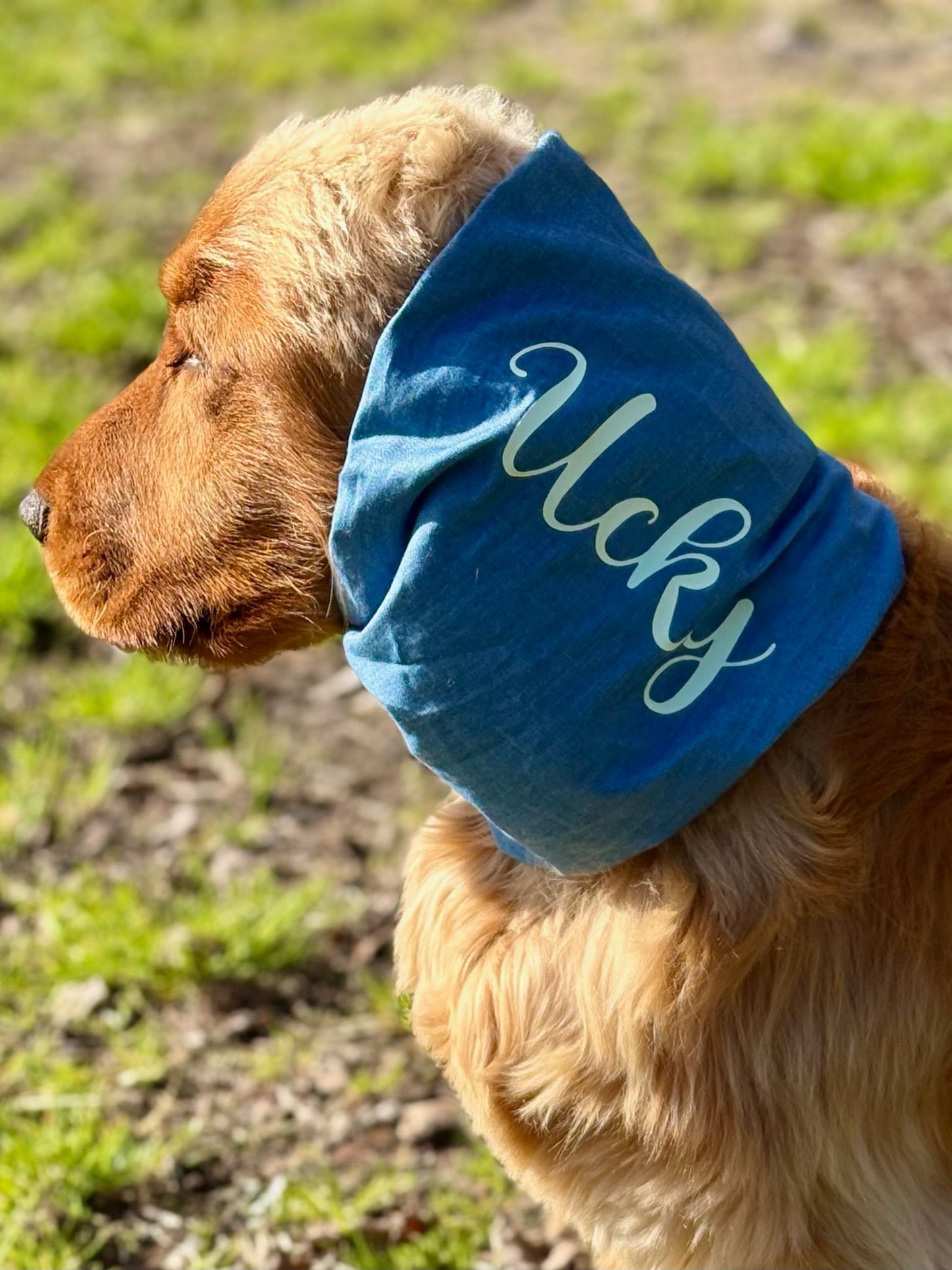 Snood en Jean personnalisable