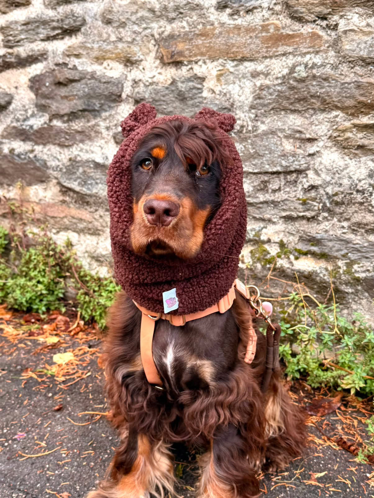 Snood - oreilles d'ours