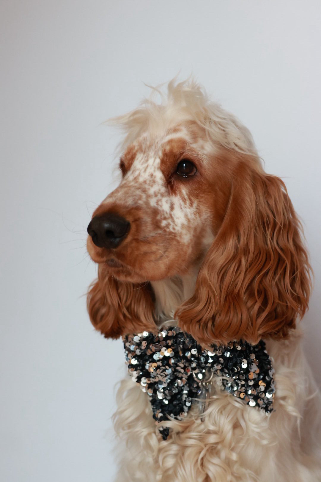 Noeud papillon en sequin