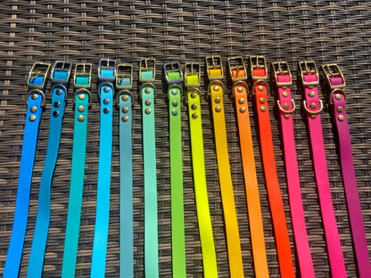 Collier en biothane - Eté
