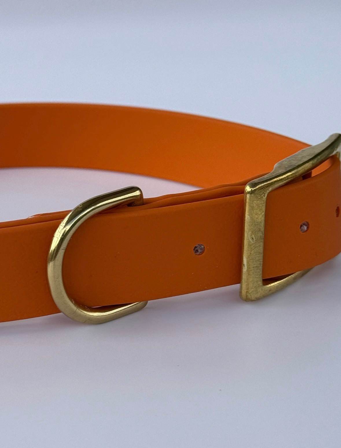 Collier en biothane