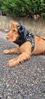 Snood imperméable - uni