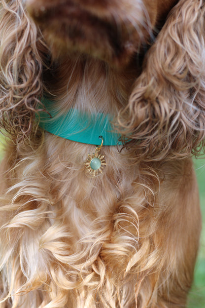 Collier en biothane à charms