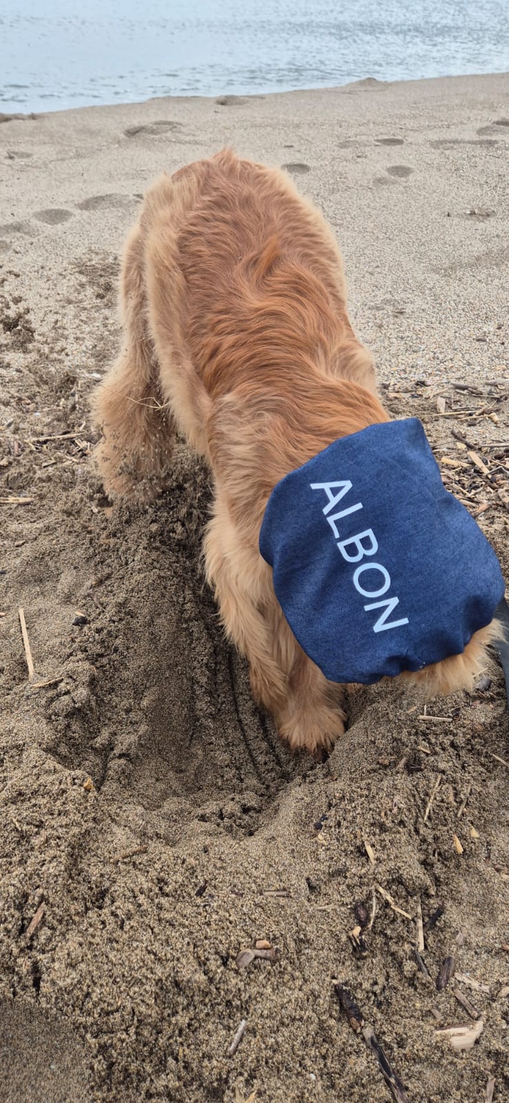 Snood en Jean personnalisable