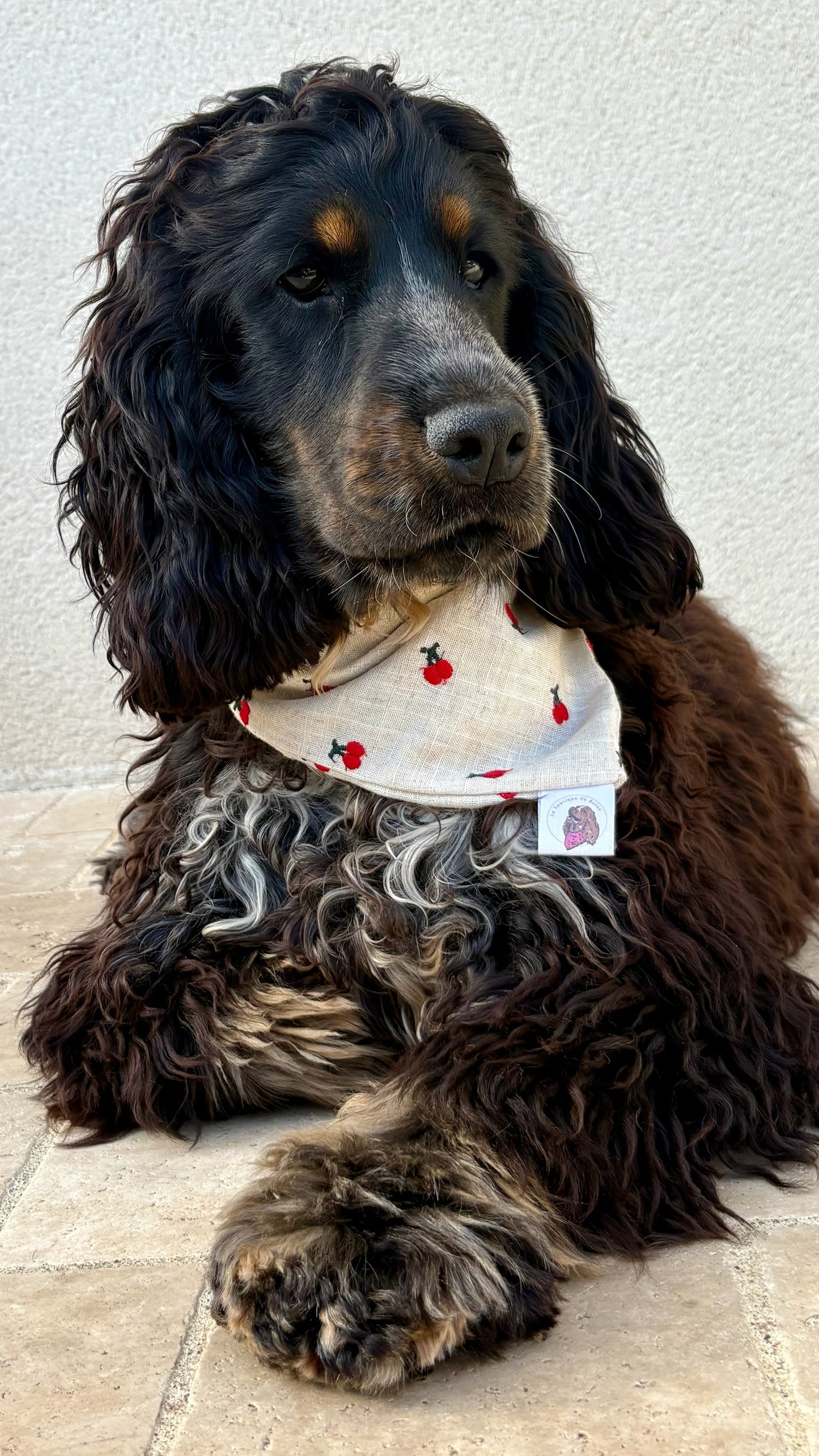 Bandana en coton