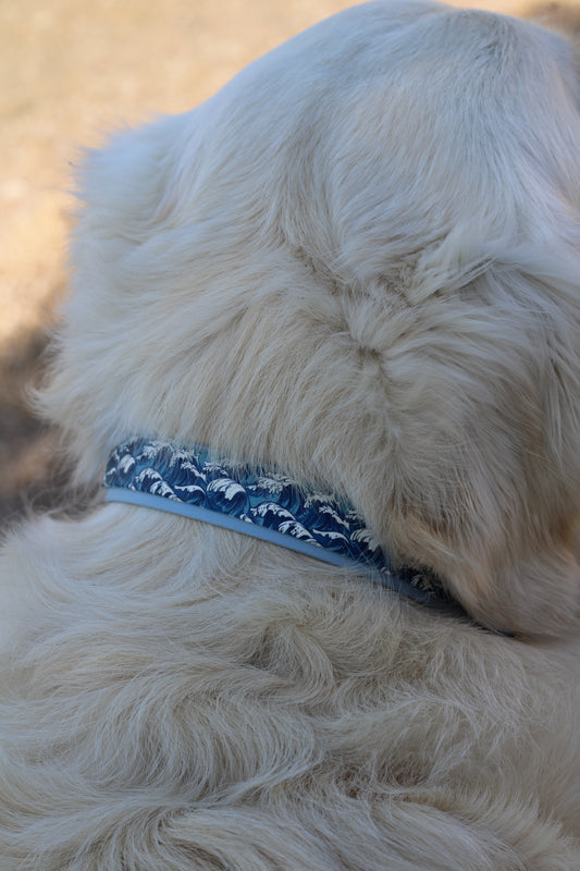 Collier Patchi en biothane - motifs été