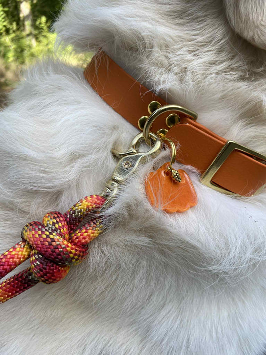 Collier en biothane - collection automne