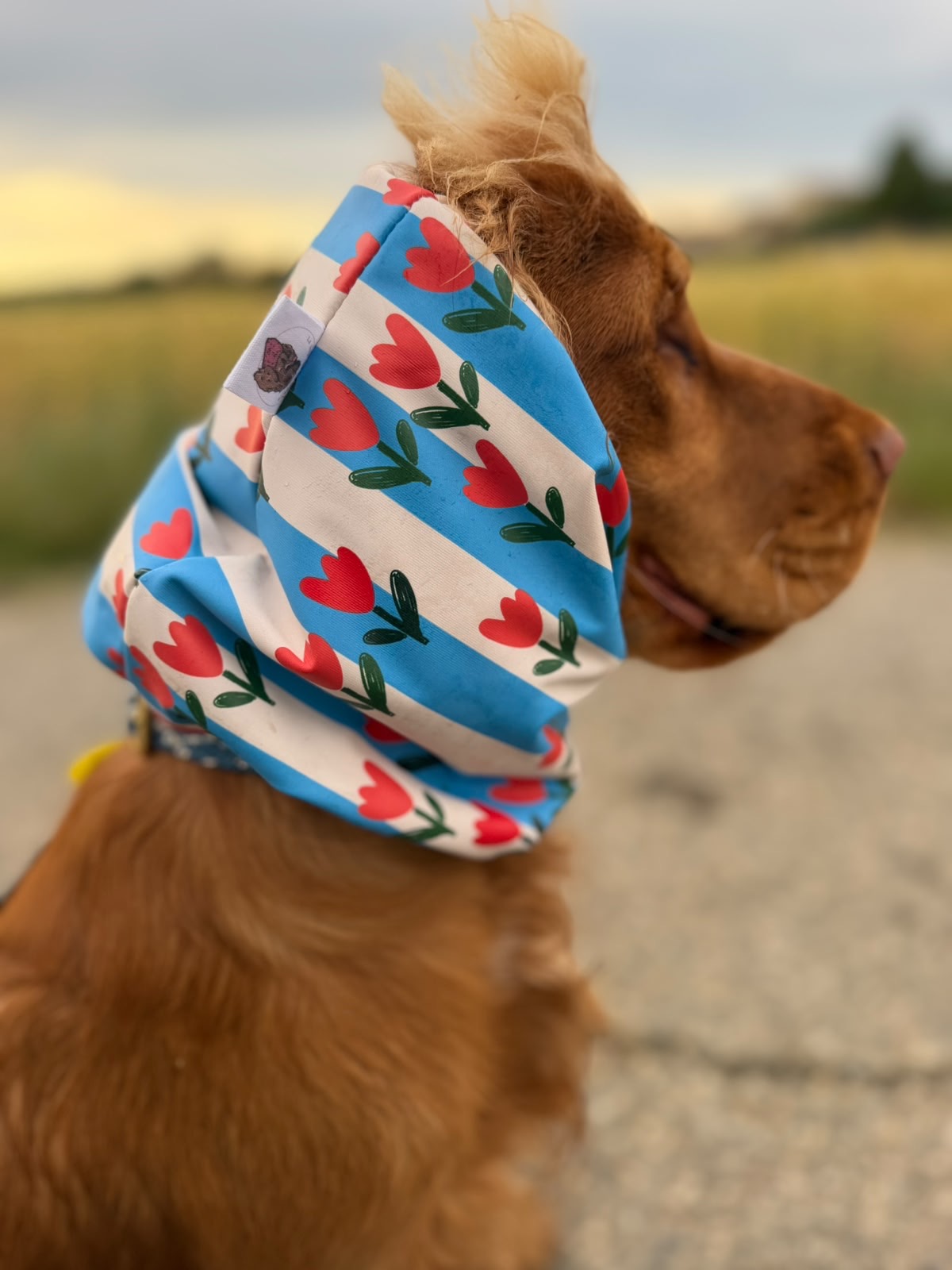 Snood imperméable - fleurs