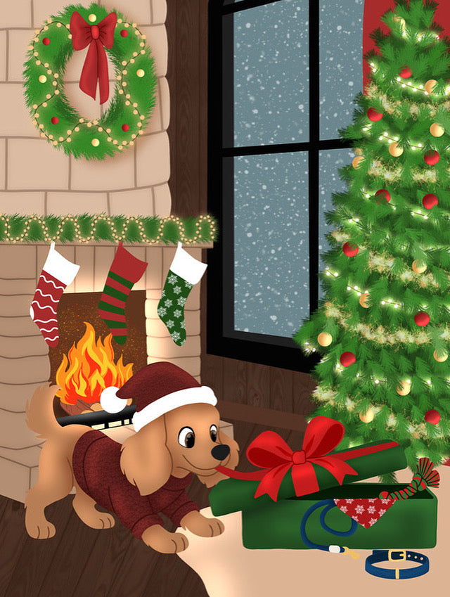 Box de Noël : Ho ho woof