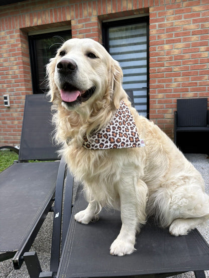 Bandana léopard