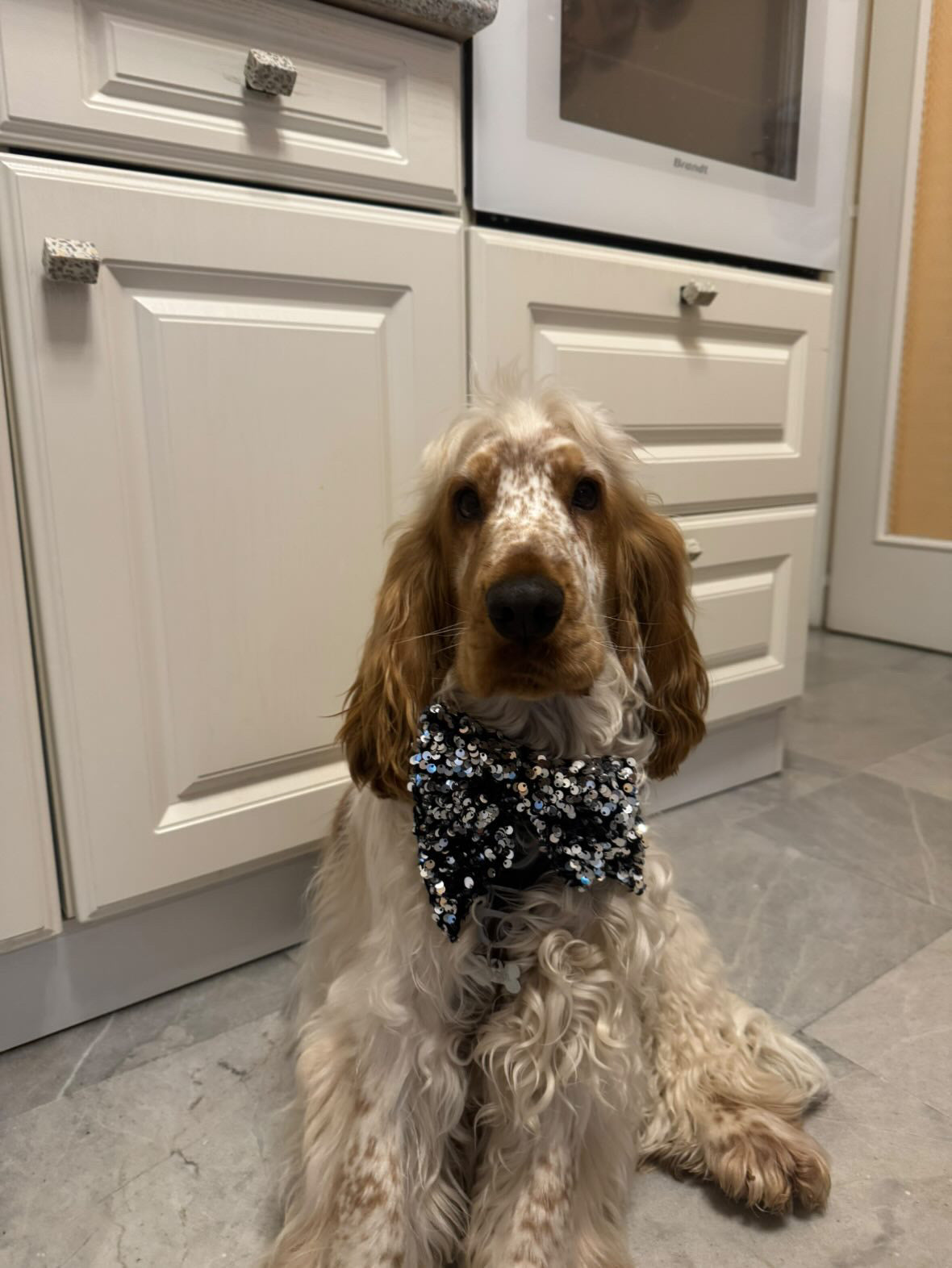 Noeud papillon en sequin