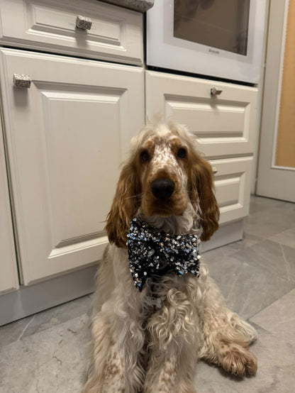 Noeud papillon en sequin