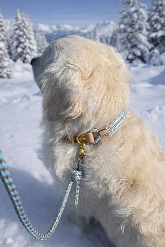 Laisse en corde - Hiver