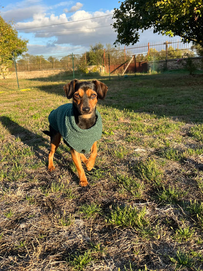 Pull en bouclette uni
