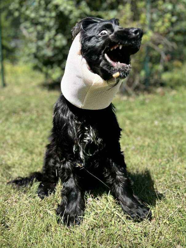 Snood filet